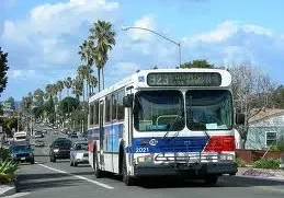City bus driving on a palm-lined street.
